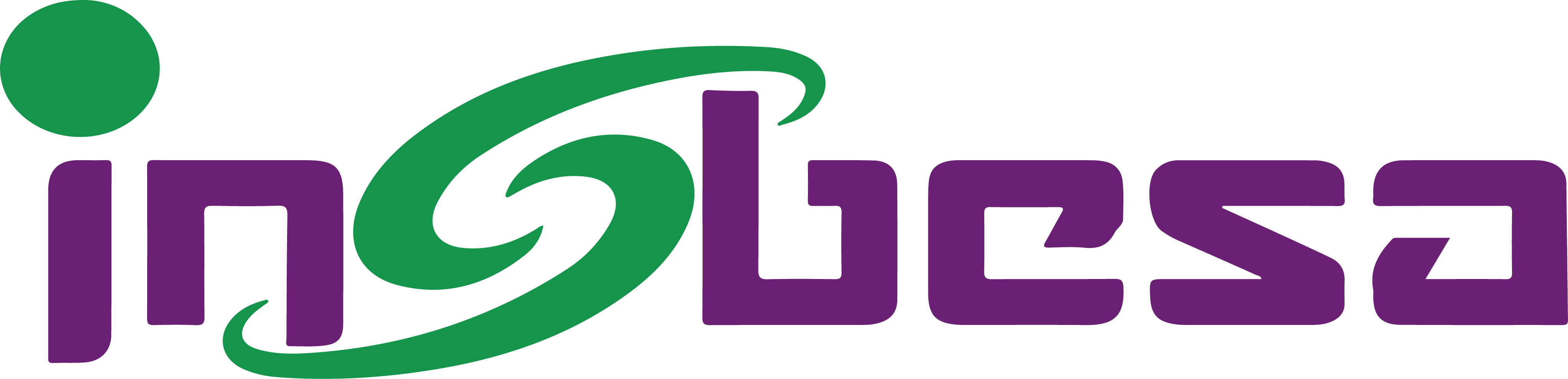 INSBESA