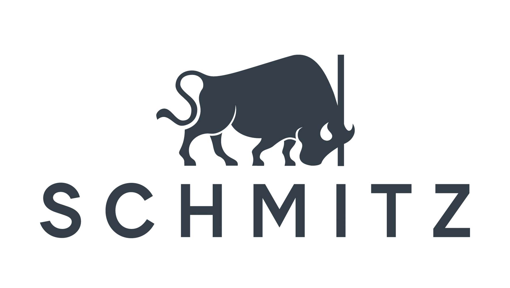 SCHMITZ MEDICAL IBERICA S.L
